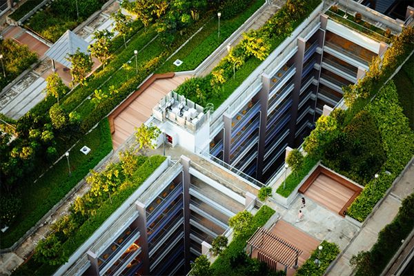 Yeşil Çatılar Şiddetli Yağmur ve Ani Sel Baskınlarının Etkisini Azaltıyor